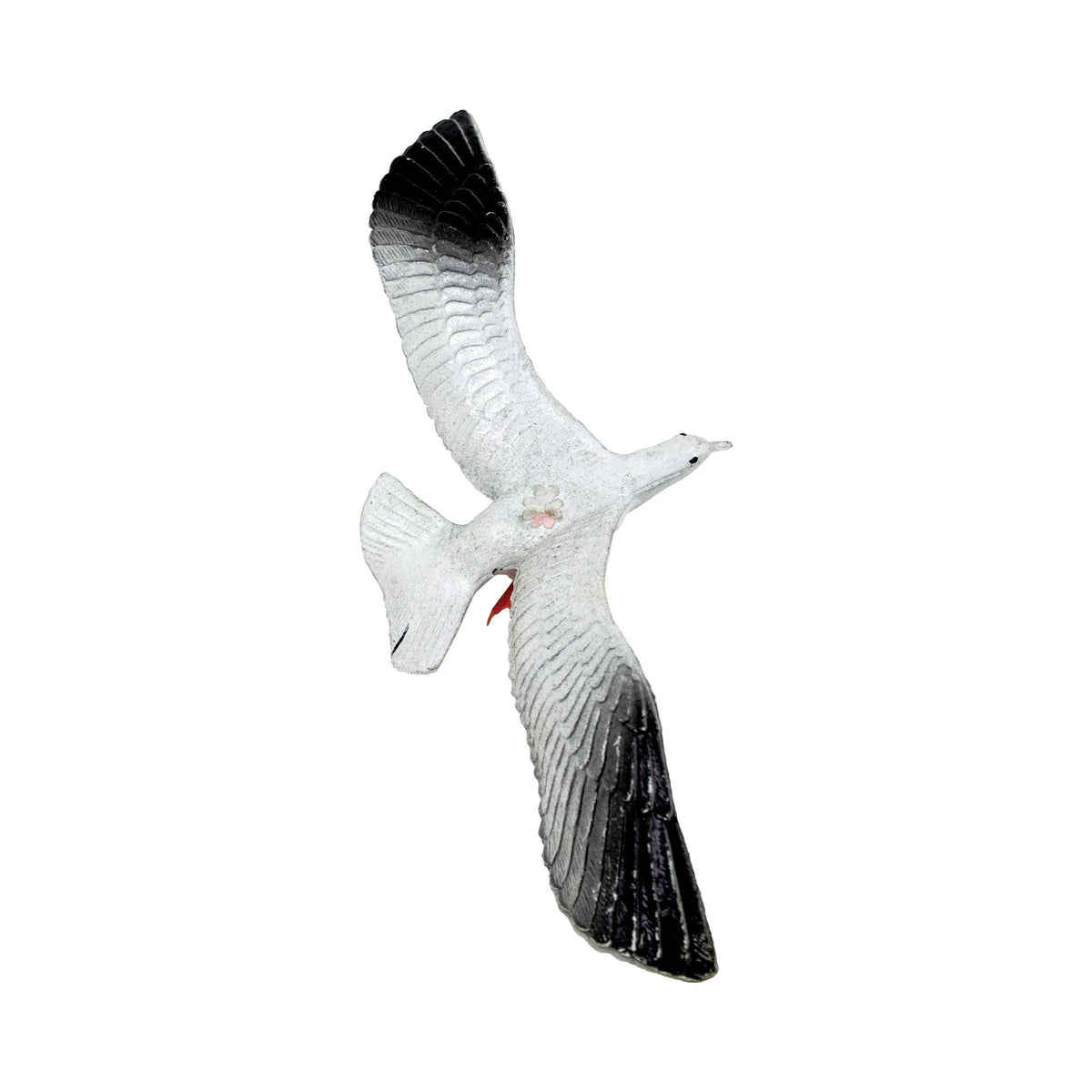 Seagull – (Min. 12)