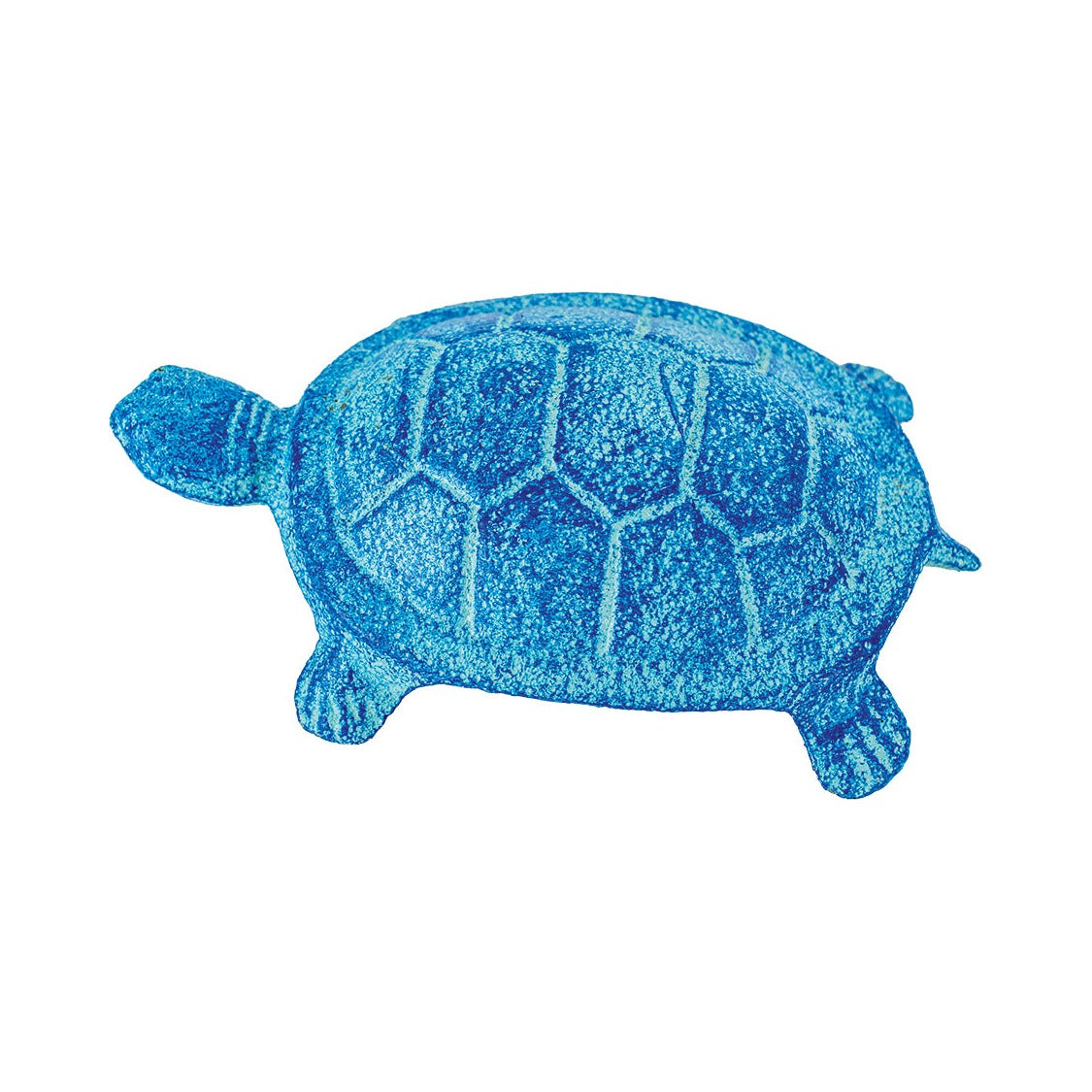 Turtles (Beach Blue) (Pkg. 6)