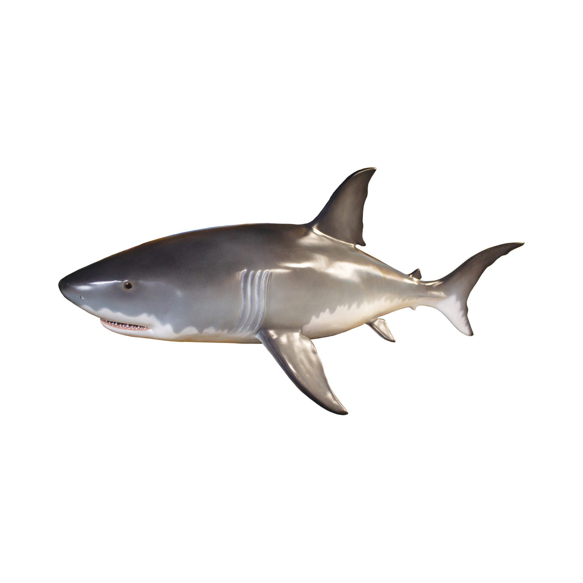 Half Great White Shark