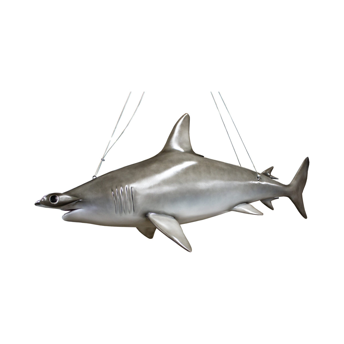 Hammerhead Shark