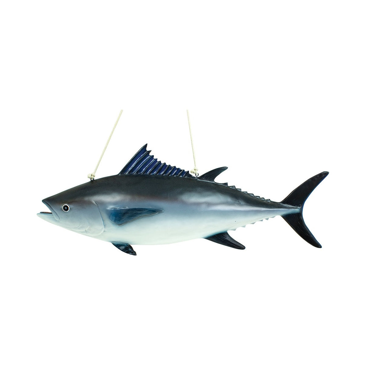 Tuna Fish