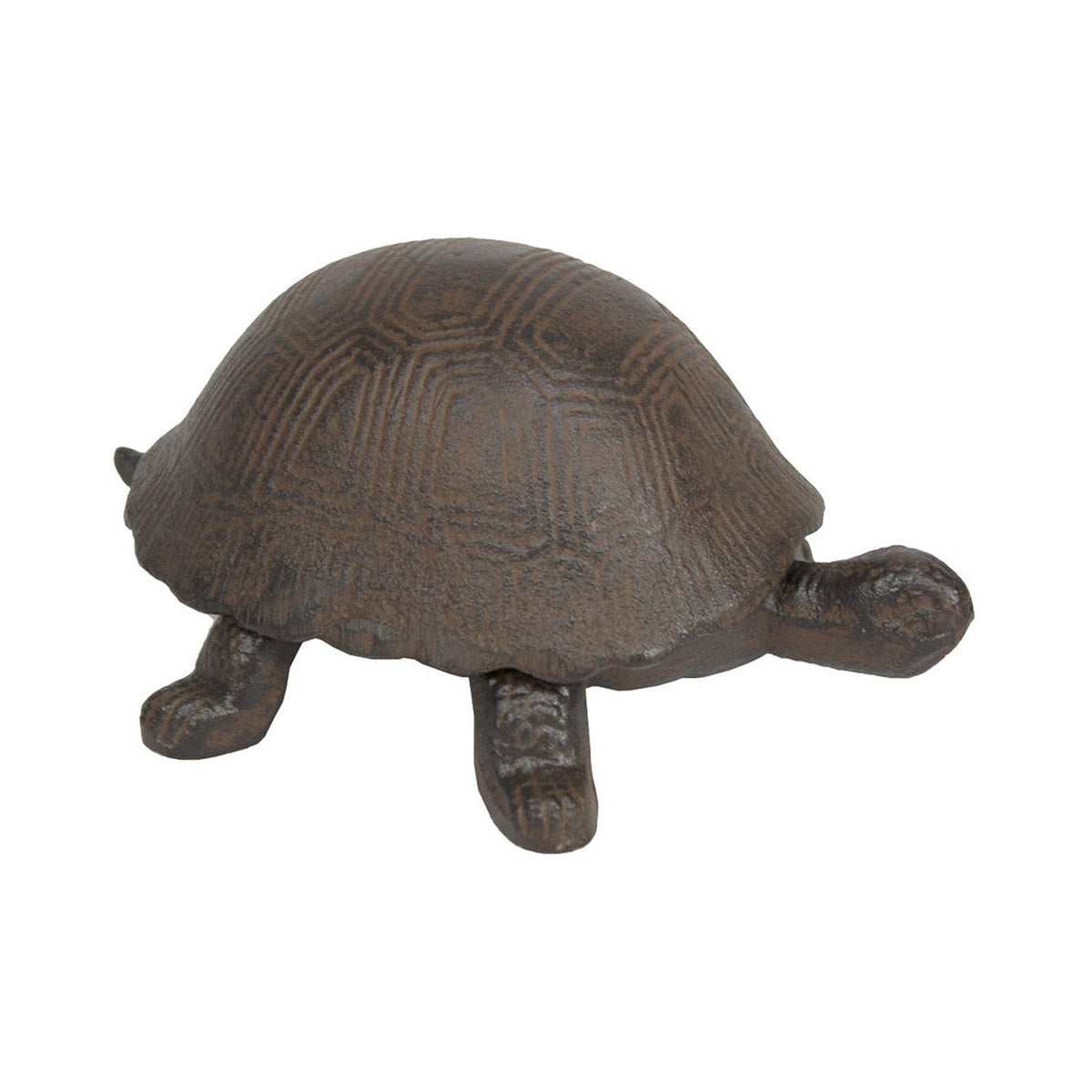 DISC Turtle Key Box