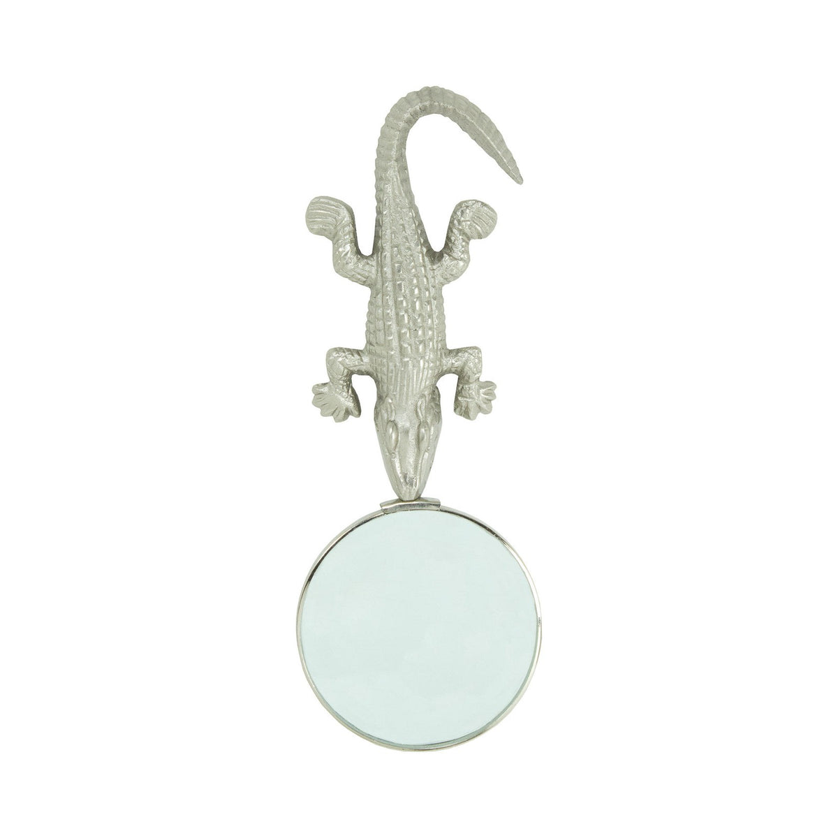 Alligator Magnifying Glass
