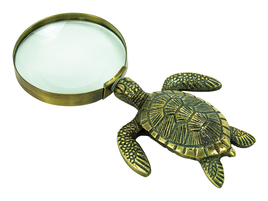 Sea Turtle Magnifier – (Min. 2)