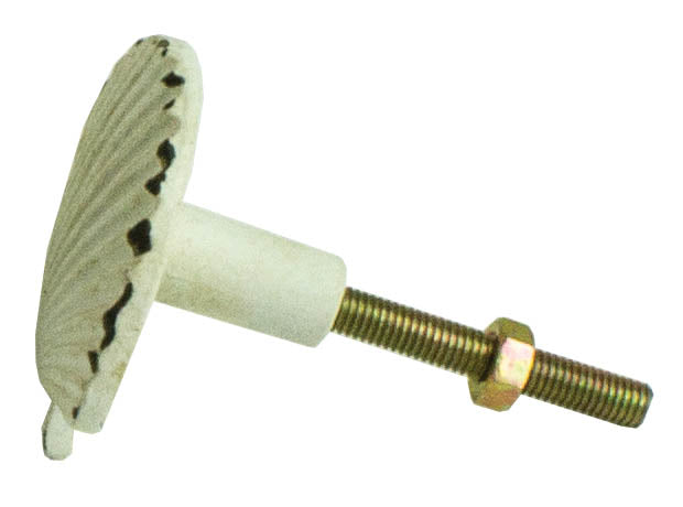Shell Knob – (Pkg. 6) — view 2