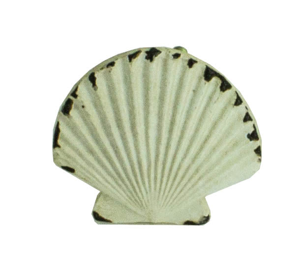 Shell Knob – (Pkg. 6)