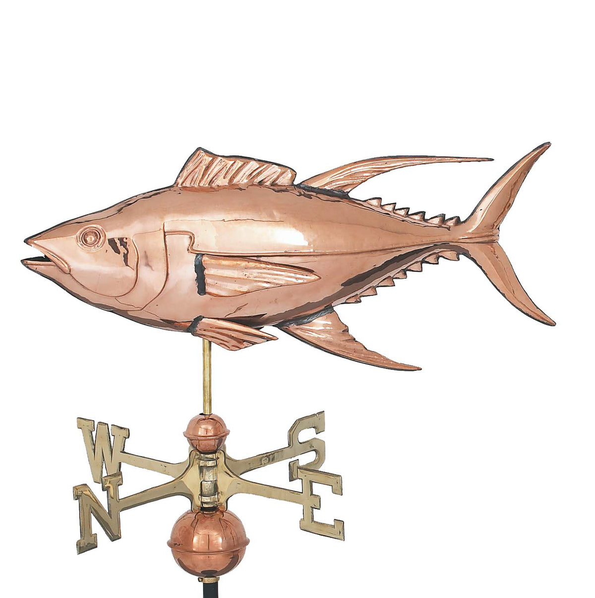 Pol. Yellow Fin Tuna