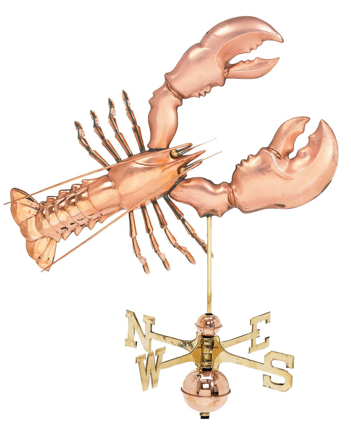 Pol. Lobster