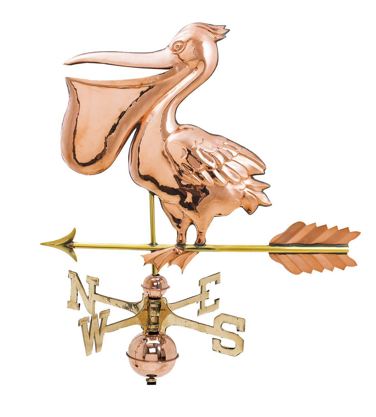 Pol. Pelican