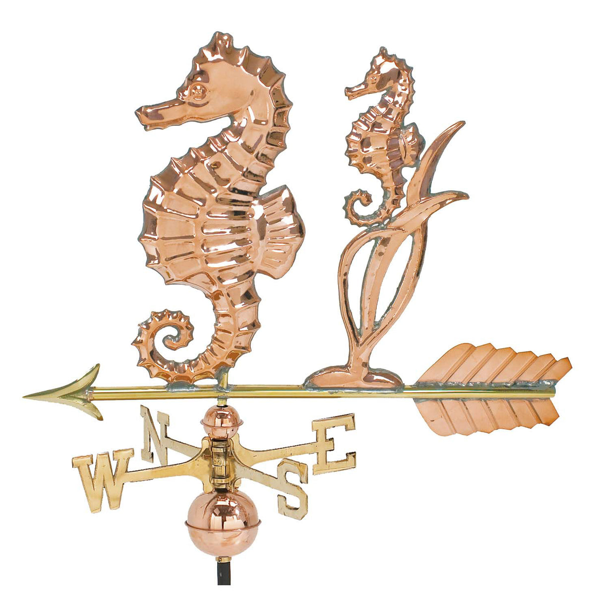 Pol. Seahorse