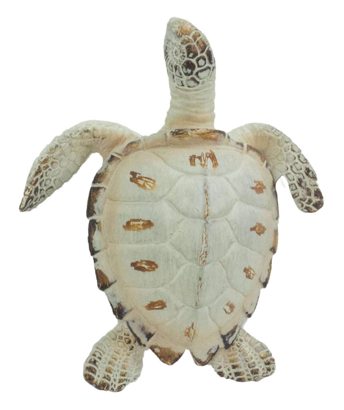Sm. Sea Turtle Wall/Tabletop – Antique White (Min. 2)