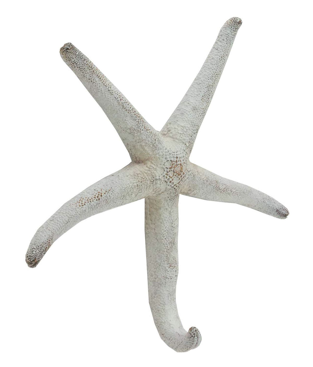 Starfish Hook (pkg. 2)