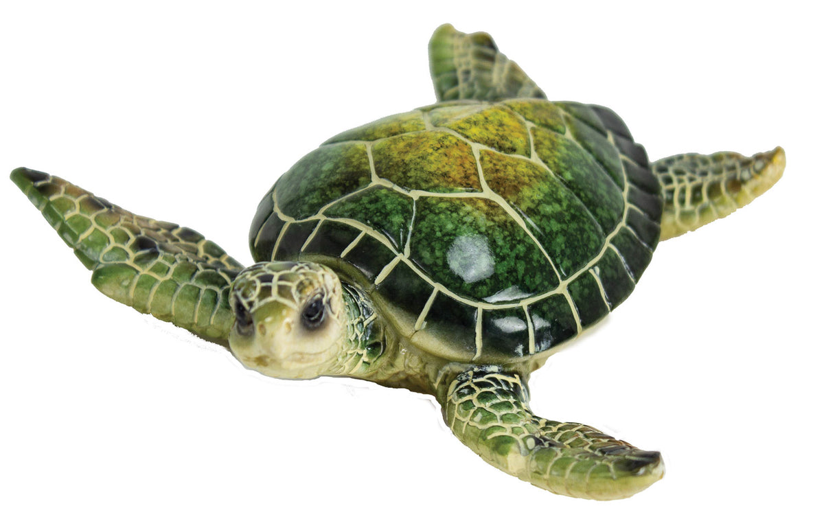 Sea Turtle – Green (Pkg. 6)