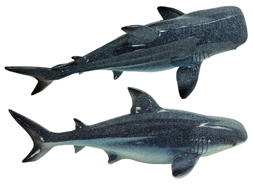 Shark – Table Top