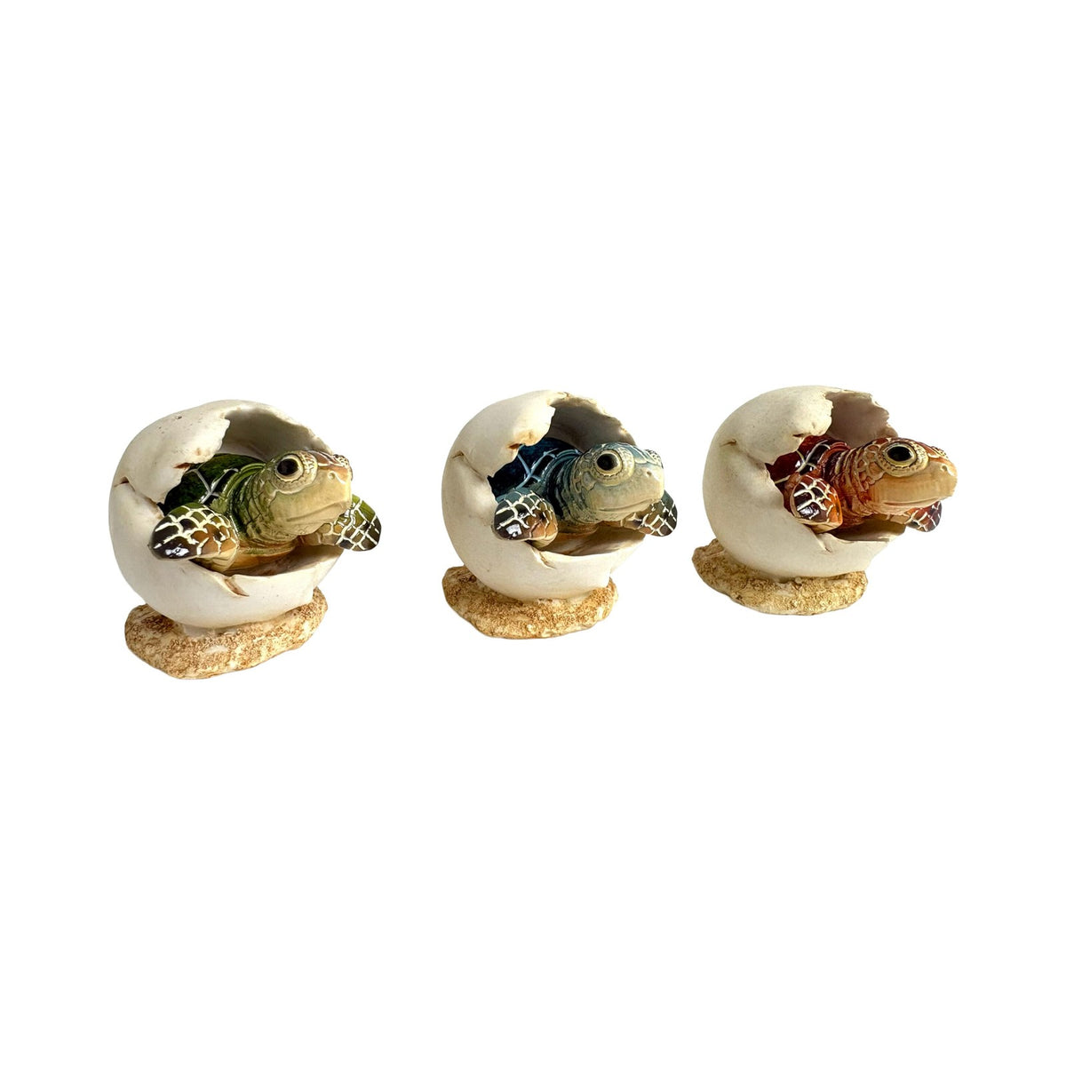 Hatching Turtles (Pkg. 6)