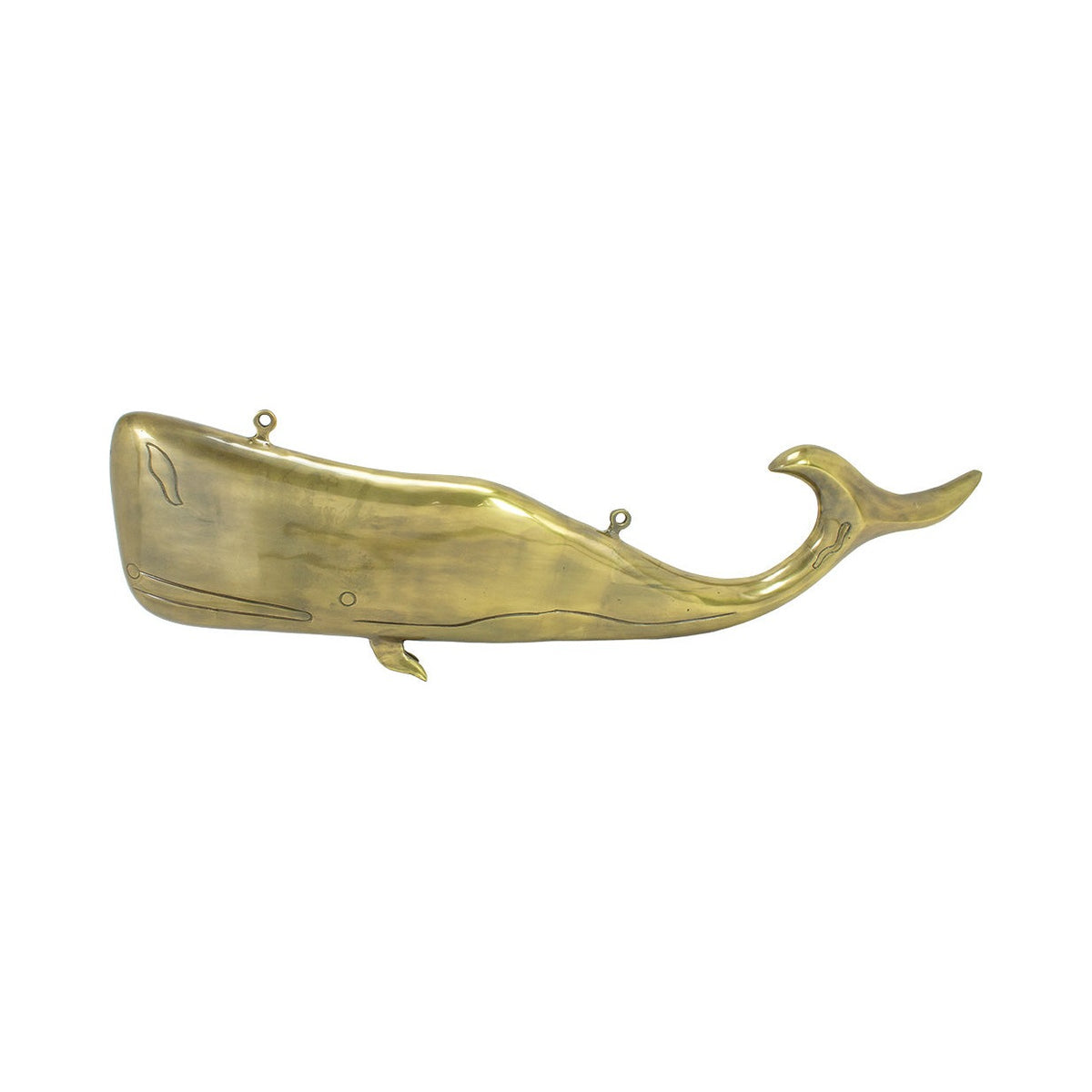 Hanging Whale