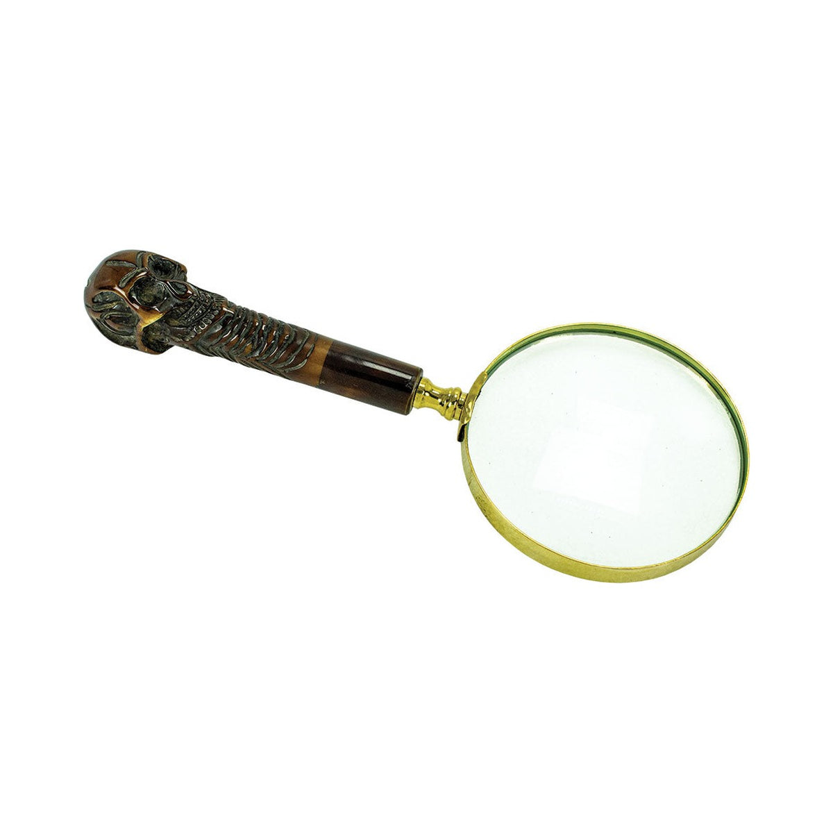 Skeleton Magnifying Glass (Min. 2)