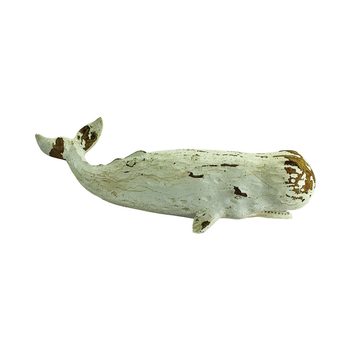 Sperm Whale – Antique White