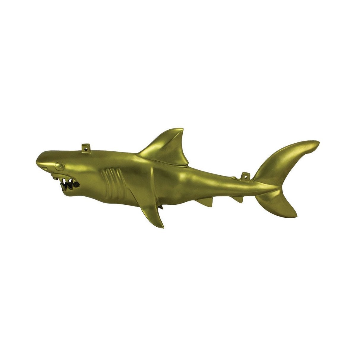 Hanging Shark