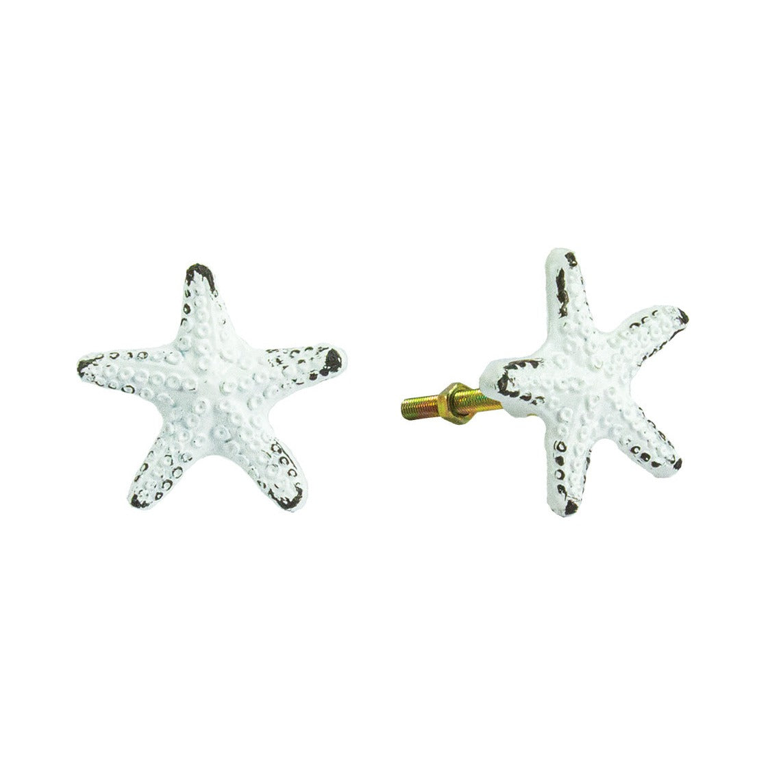 Starfish Knob – (Pkg. 6)
