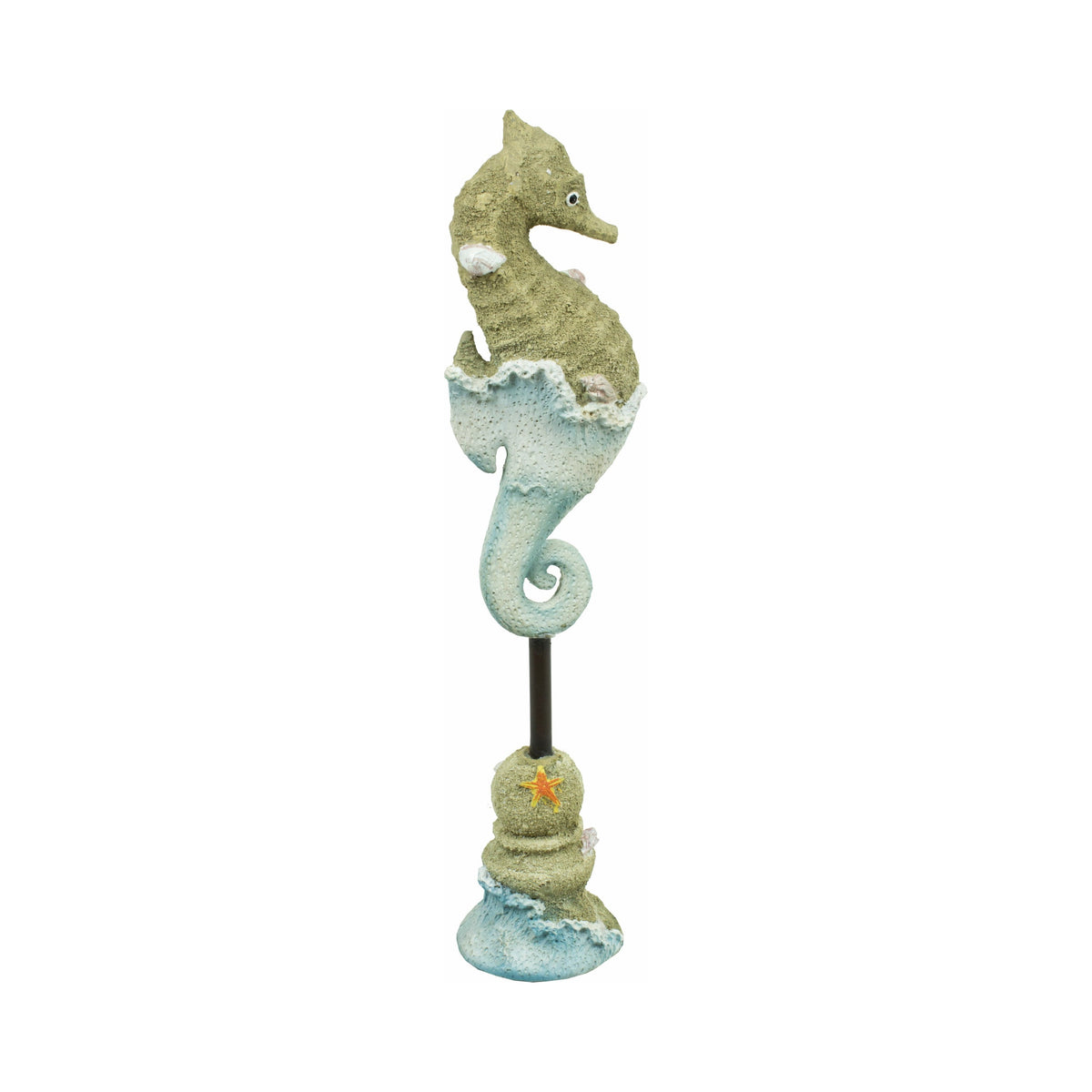 Seahorse
