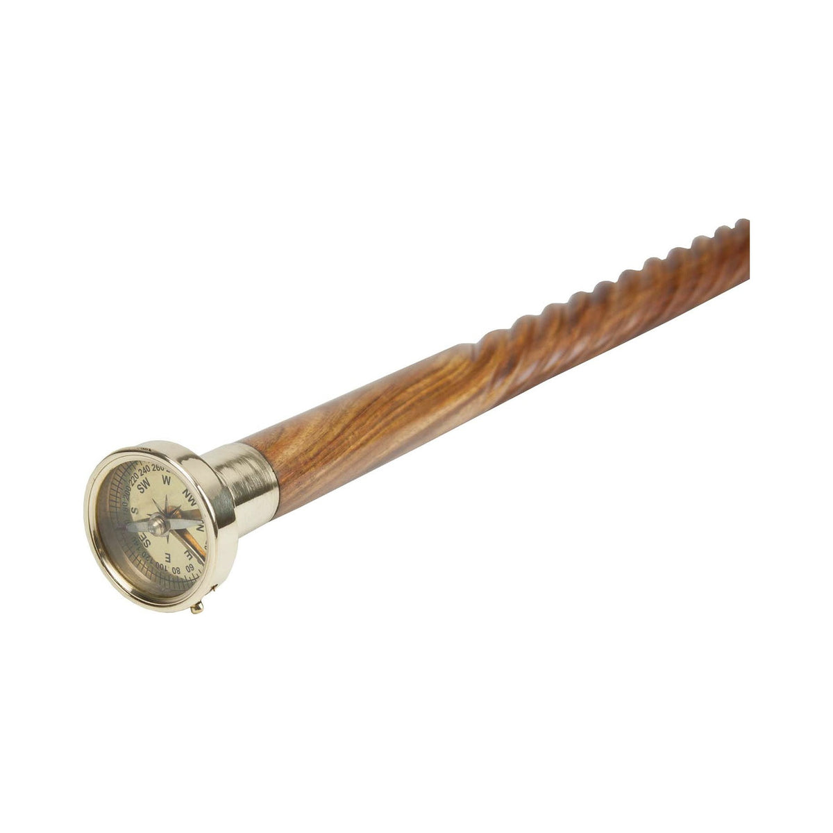 Compass Walking Stick