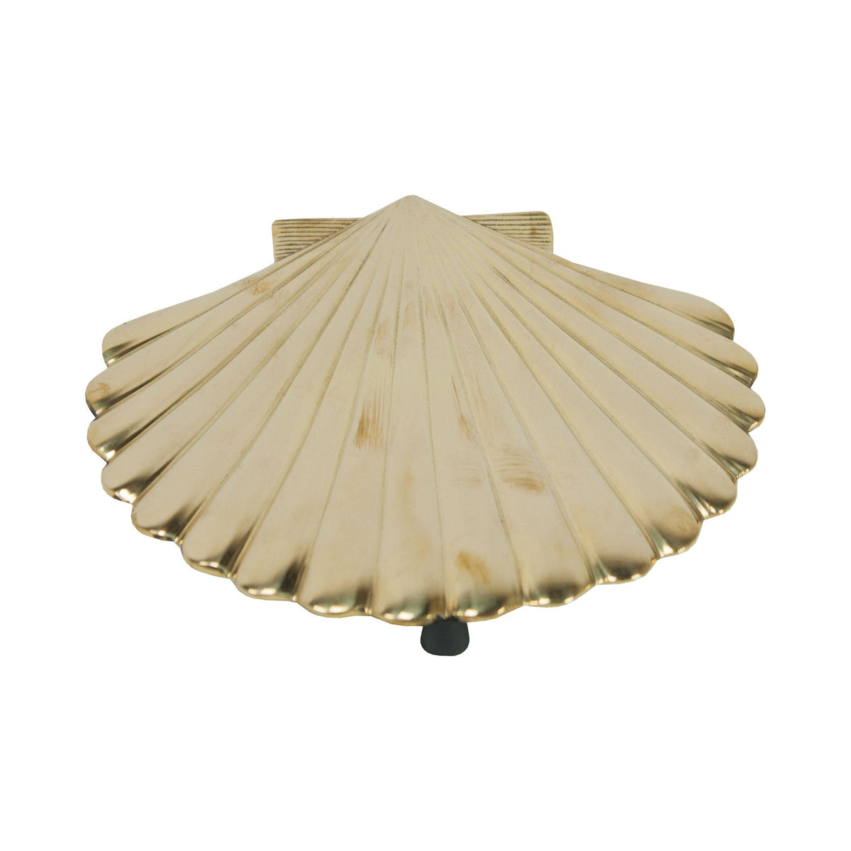 Scallop Shell Trivet