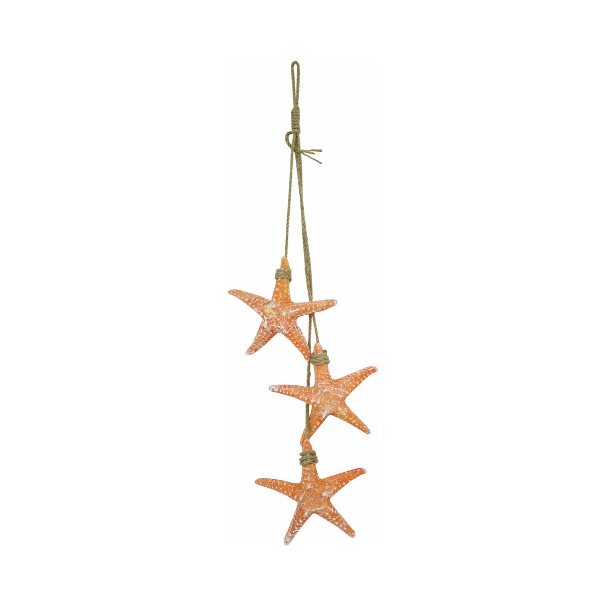 Starfish – (Pkg. 4)