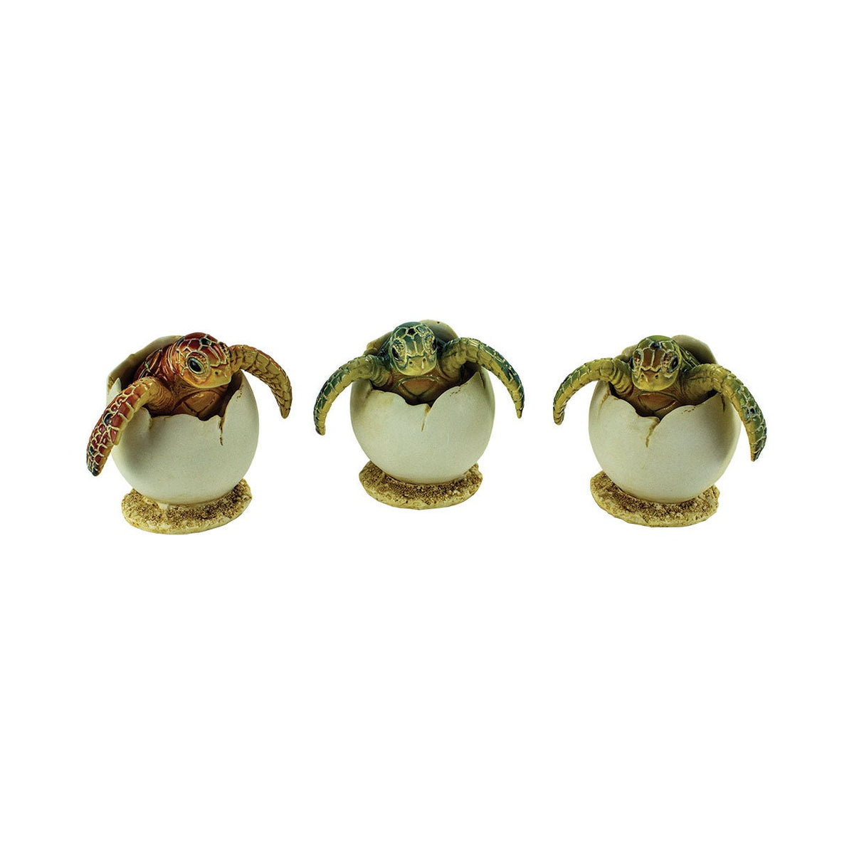 Hatching Turtles (Pkg. 3)