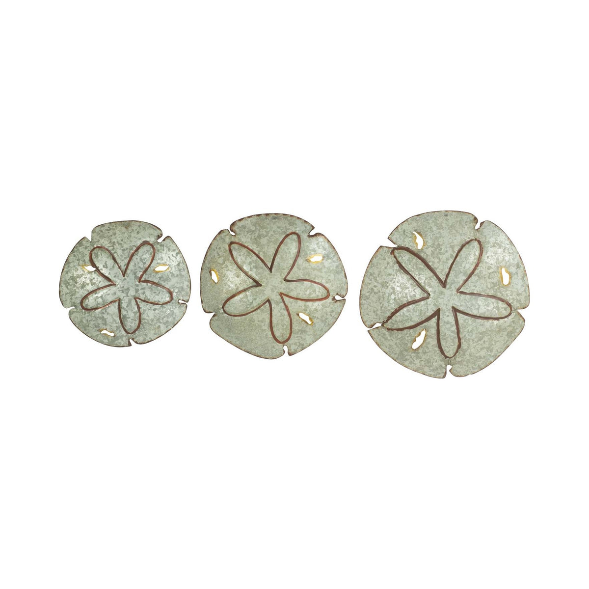 Sand Dollar (3 st)