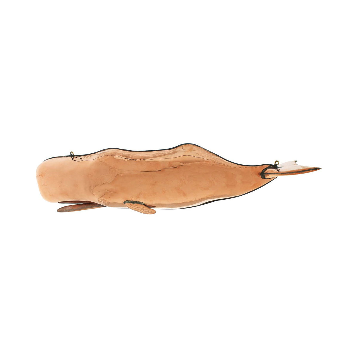 Pol. Hanging Sperm Whale