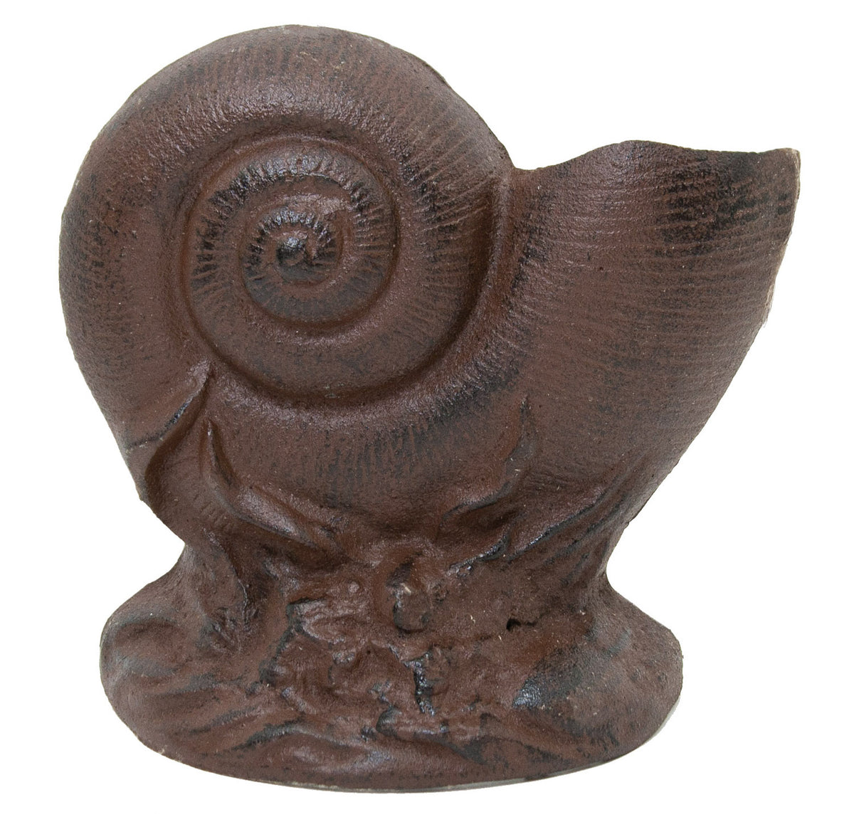 Nautilus Shell Door Stop – (Pkg. 2)