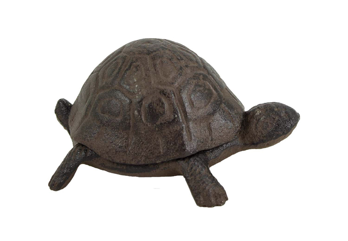 Turtle – (Pkg. 4)
