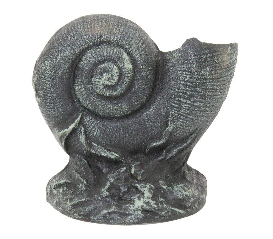 Nautilus Shell Door Stop – Verdigris (Pkg. 2)