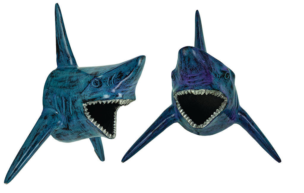 Shark Head