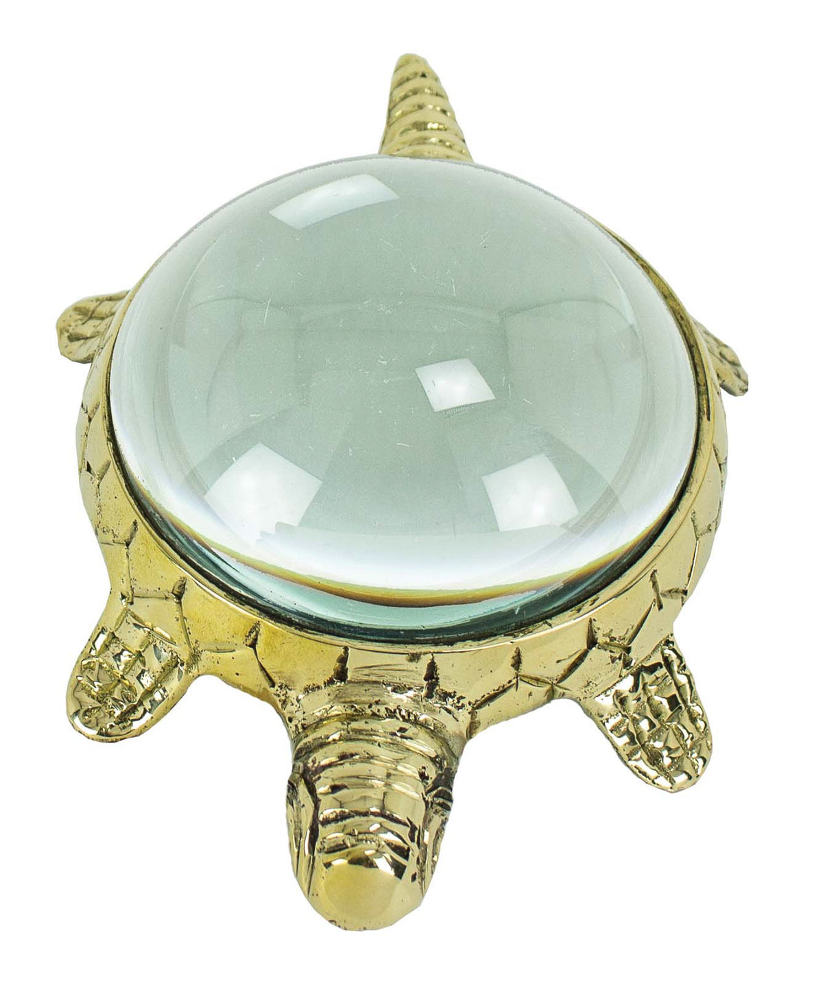 Turtle Magnifier – (Min. 2)