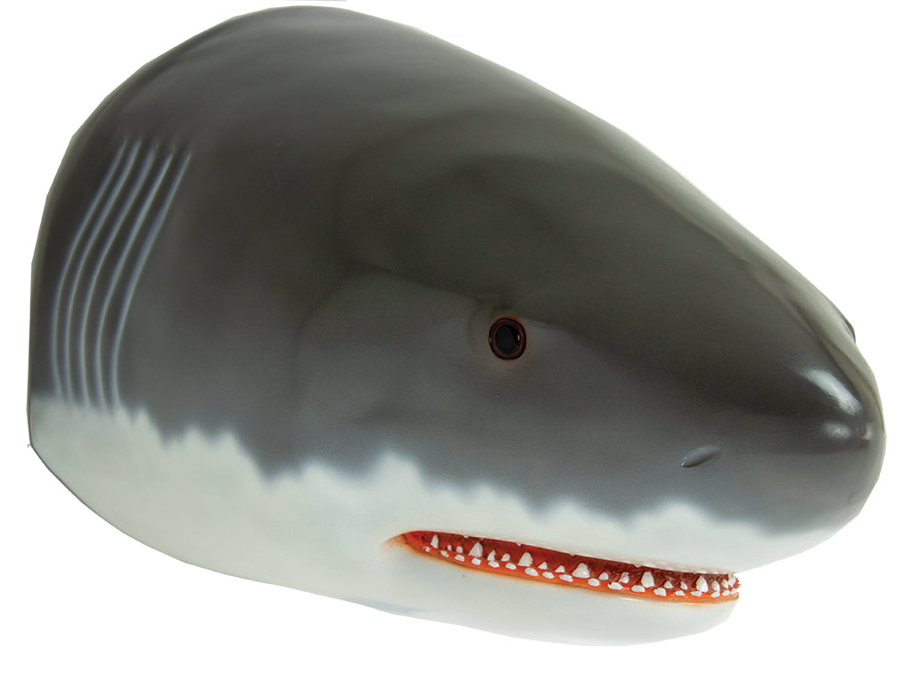 Great White Shark Head Wall Decor