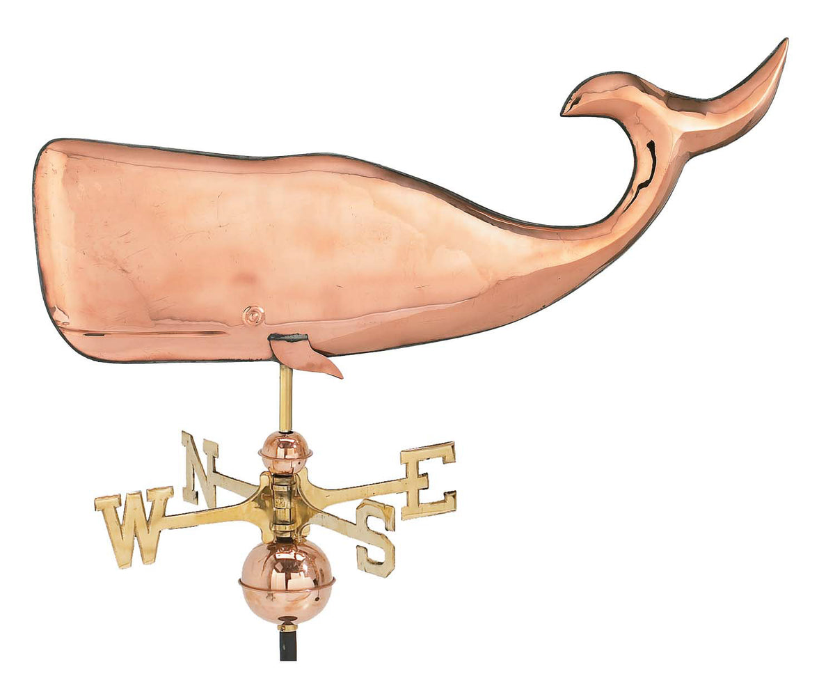 Pol. Lg. Whale – NET