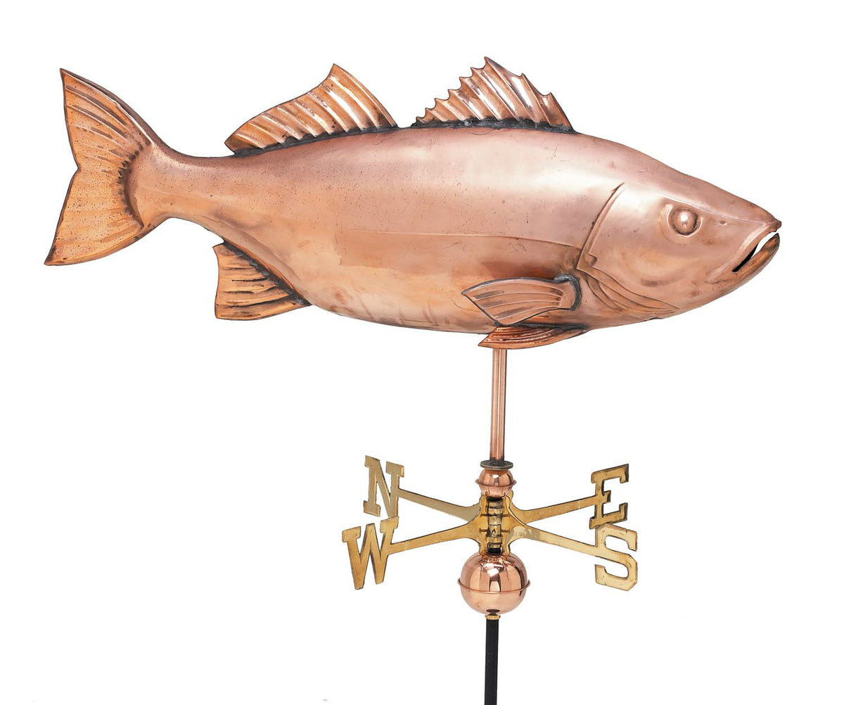 Pol. Ex. Lg. Large Fish