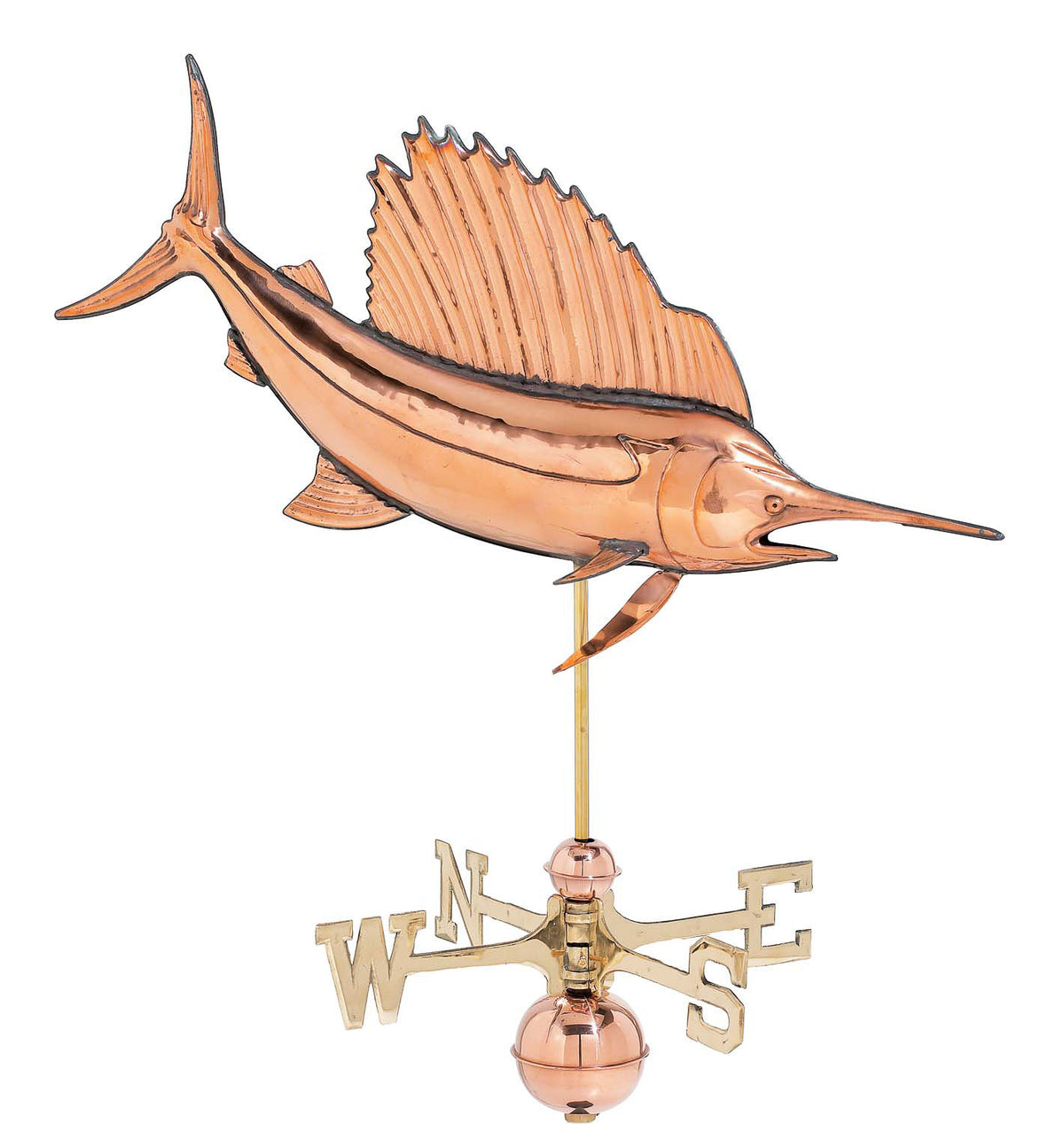 Pol. Sailfish