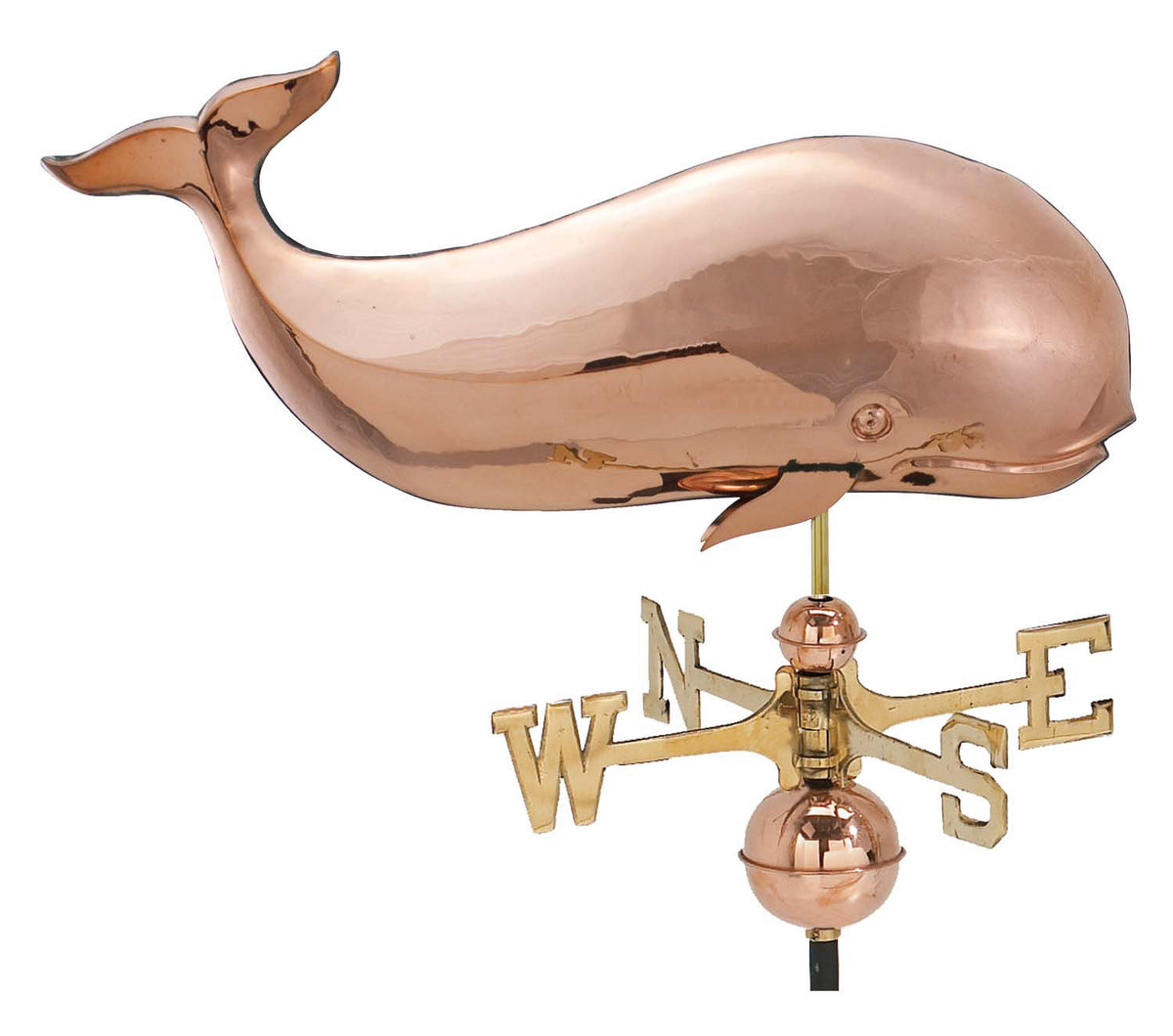 Pol. Whale
