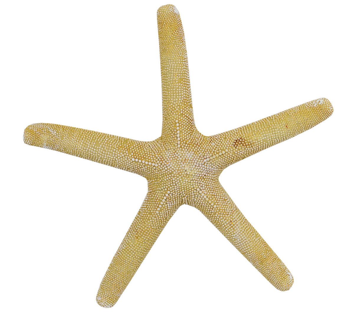 Lg. Starfish (Pkg. 2)