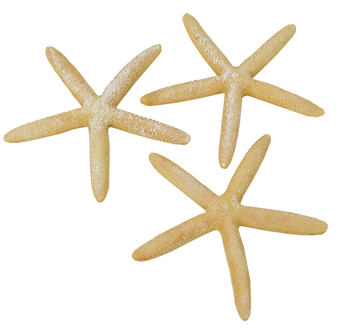 S/3 Starfish – (Pkg. 4)