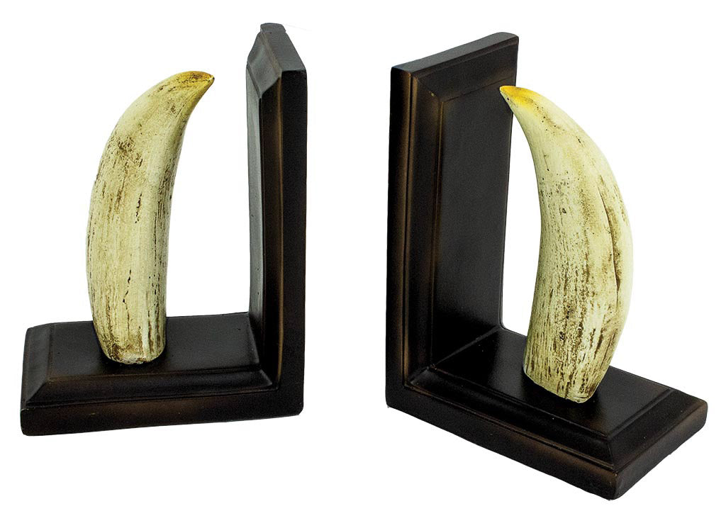 Whale Teeth Bookends
