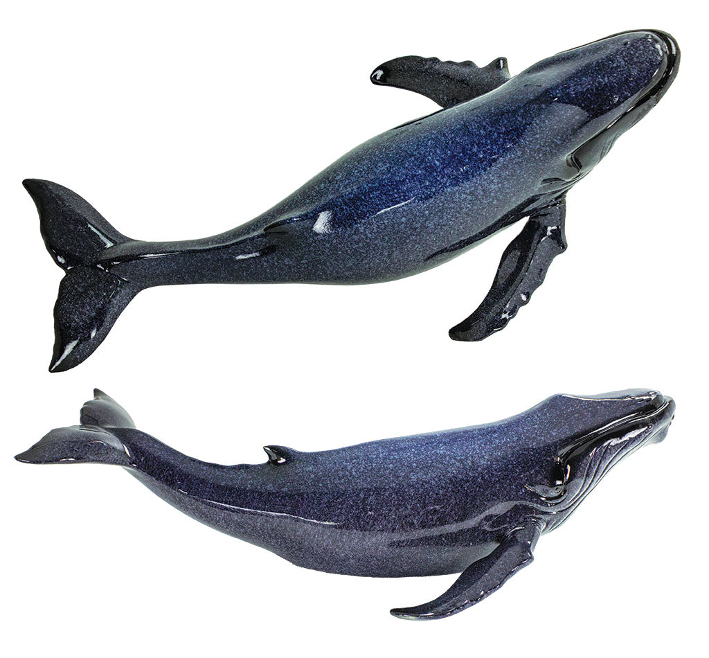 Humpback