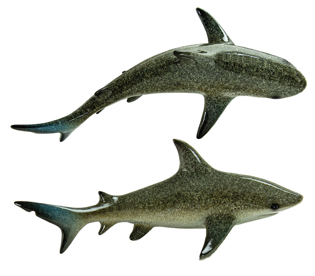 Shark – Table Top (Min. 2)