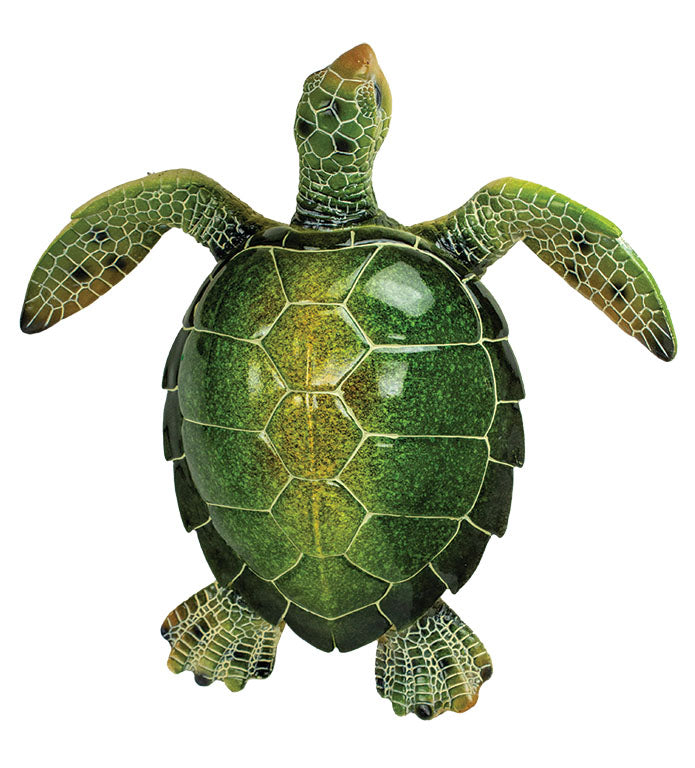 Sea Turtle – Green