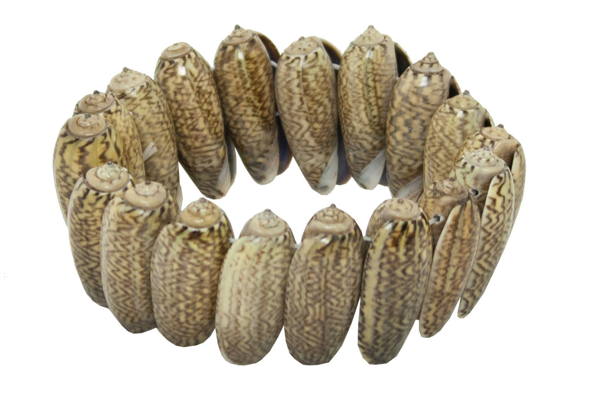 Seashell Bracelet (Pkg. 12)