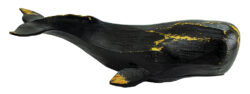 Whale