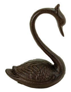 Swan (Min. 2)